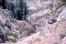 14.webp