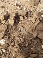 ImageUploadedByTreasureNet.com1424912124.356597.webp