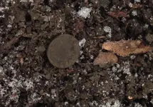 ImageUploadedByTreasureNet.com1423622962.633581.webp