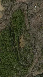 image.webp