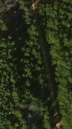 image.webp