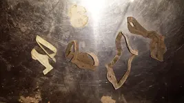 20150123_183044.webp