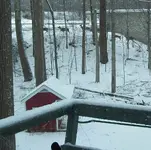 deer1.webp deer1.webp