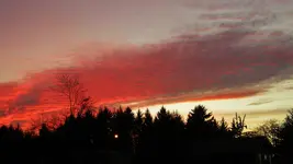 DSCN7130.webp