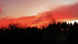 DSCN7131.webp