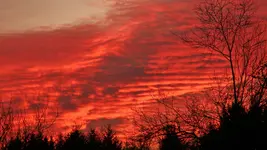 DSCN7132.webp