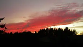 DSCN7134.webp