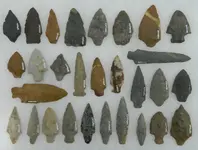 DSCN0450.webp