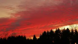 DSCN7136.webp
