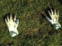 Divot Replaced.webp