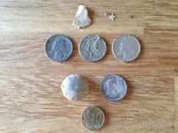 Stevo Finds.webp