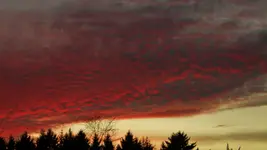 DSCN7137.webp