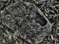 attachment rust2.webp