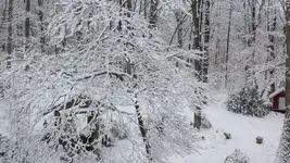 snow.webp
