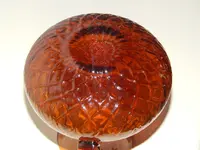 DSCN8558.webp