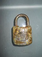 DSCN7277.webp