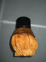 DSCN7278.webp