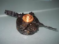 DSCN7283.webp