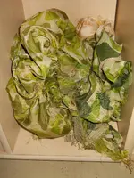 DSCN7293.webp
