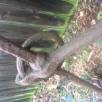 IMG_4644.webp IMG_4644.webp