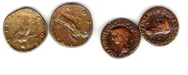 Metal Detector Misc1.webp