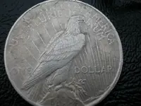 DSCN3083.webp