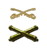 ring cannons.webp ring cannons.webp