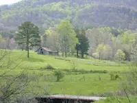 Spring Green.webp