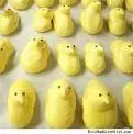 peeps.webp
