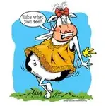 cow_inslip2.webp