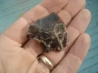 arrowhead back.webp