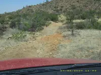 PLAY IN DESERT.webp