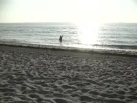 South Miami Beach 9.1.7..webp