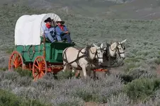 wagon.webp
