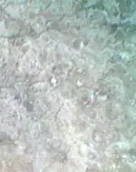 cropped jordan.webp