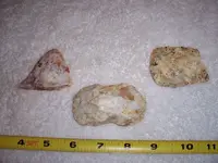 100_0404.webp