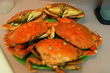 5 Cooked.webp
