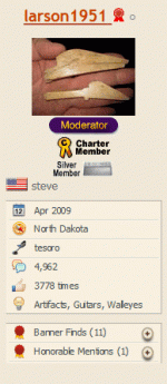 FireShot Screen Capture #135 - '[SOLVED] Could this be a scraper_' - www_treasurenet_com_forums_.gif