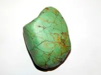 DSCN8544.webp