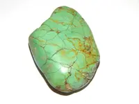 DSCN8547.webp