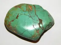 DSCN8549.webp