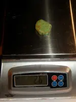 DSCN8550.webp