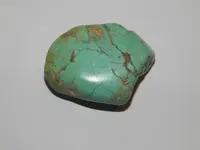DSCN8552.webp