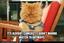 comcastcat.webp