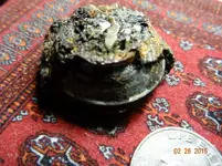 DSC00760.webp