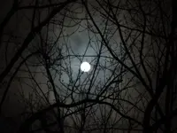 K1600_021.webp