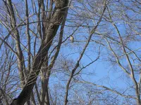 DSCN1943.webp