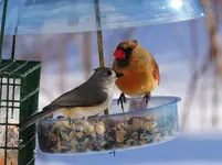 K1600_053.webp