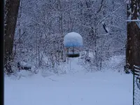 006.webp