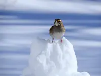 K1600_062.webp